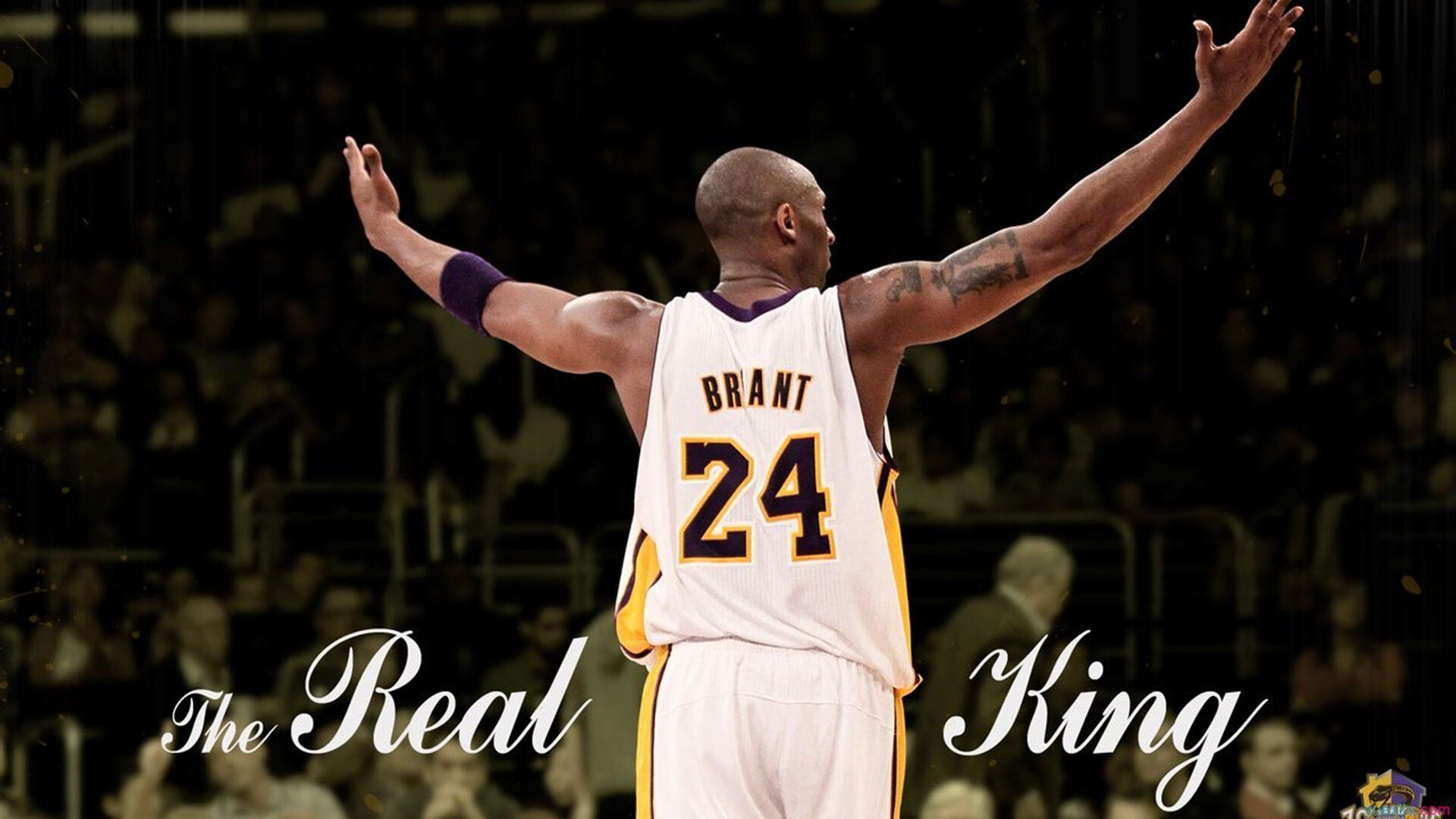 _未来VR篮球：虚拟世界中的巅峰对决_，vr的未来方向