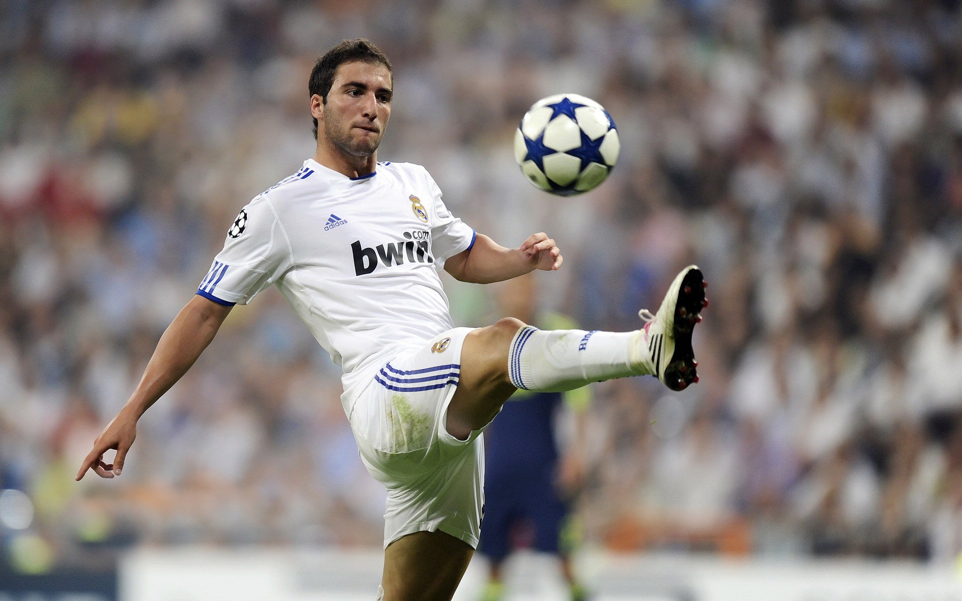 _比赛氛围火热：现场欢呼声经久不息_，比赛现场气氛活跃